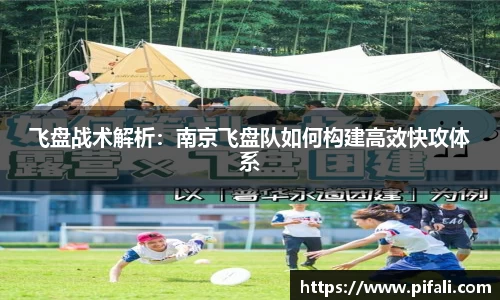 w66国际