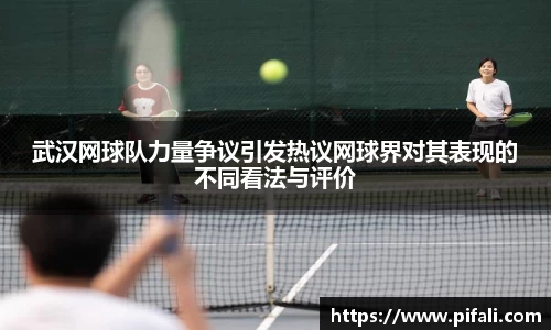 武汉网球队力量争议引发热议网球界对其表现的不同看法与评价