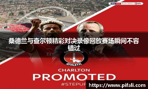 桑德兰与查尔顿精彩对决录像回放赛场瞬间不容错过